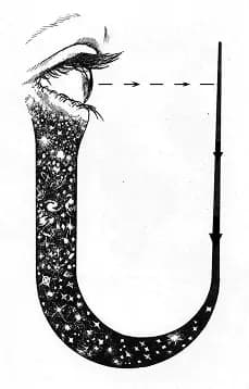 Eye and cosmos — consciousness observing itself